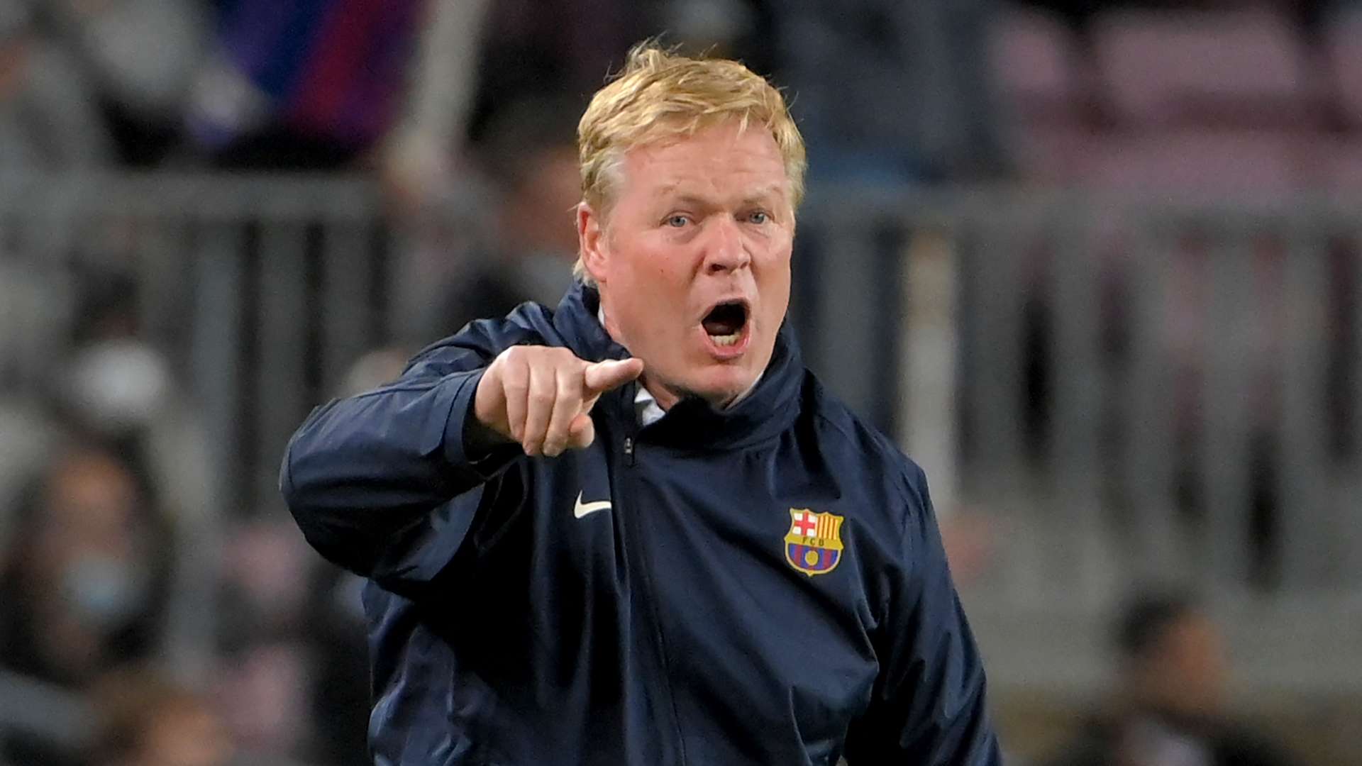 活动涵盖了 活动涵盖了